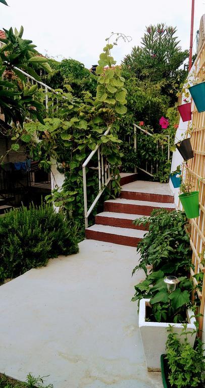 Sofia'S Way Apartments Єлса Екстер'єр фото